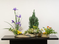 Ikebana en Museo Ralli 2022-180